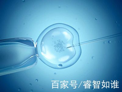 遗传咨询科